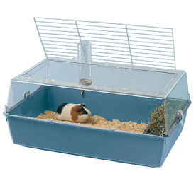 La cage à lapin ou cobay